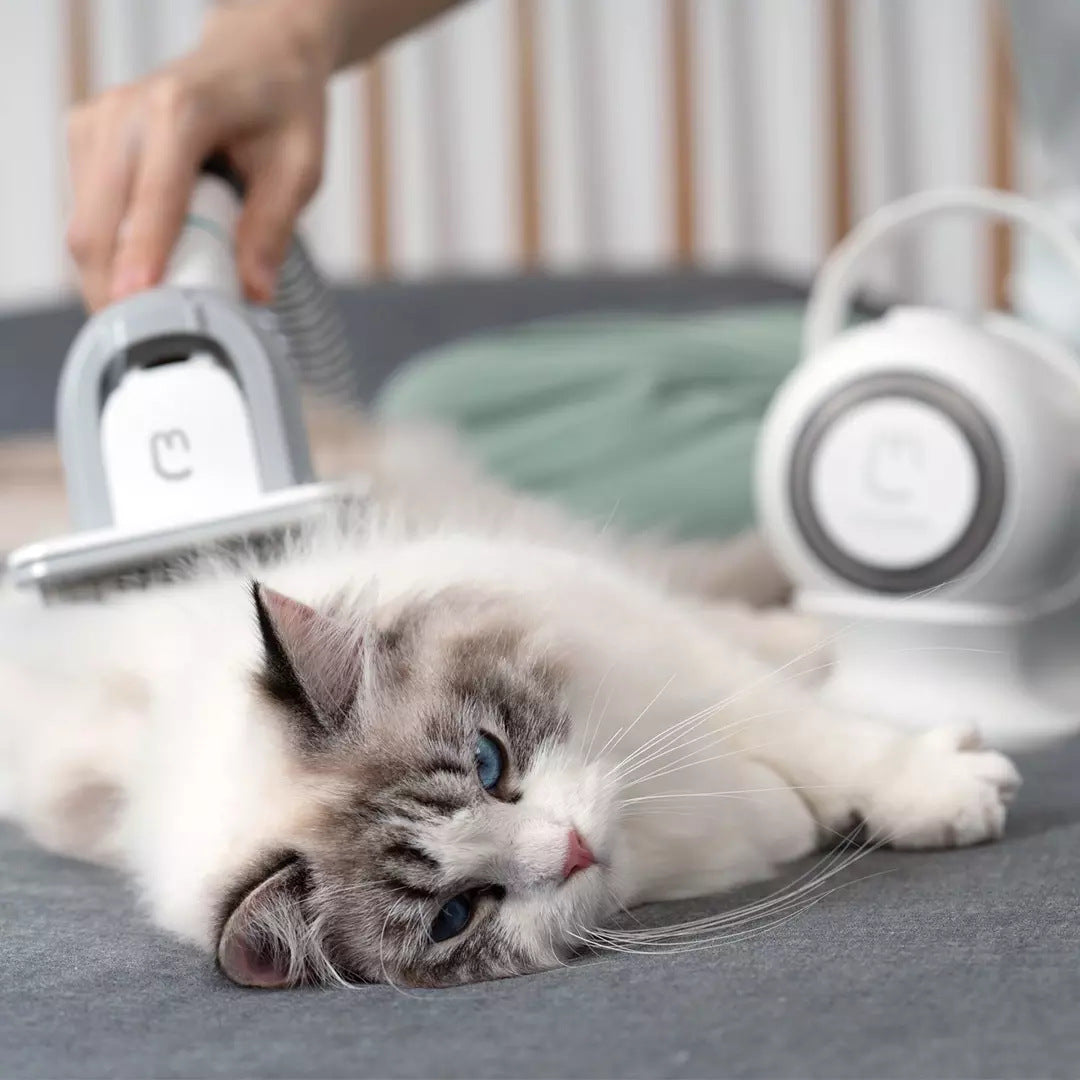 Toiletteur multifonctionnel pour animaux de compagnie