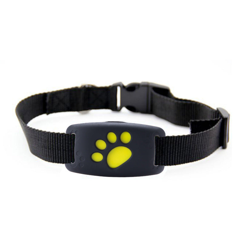 Traceur GPS pour animaux de compagnie