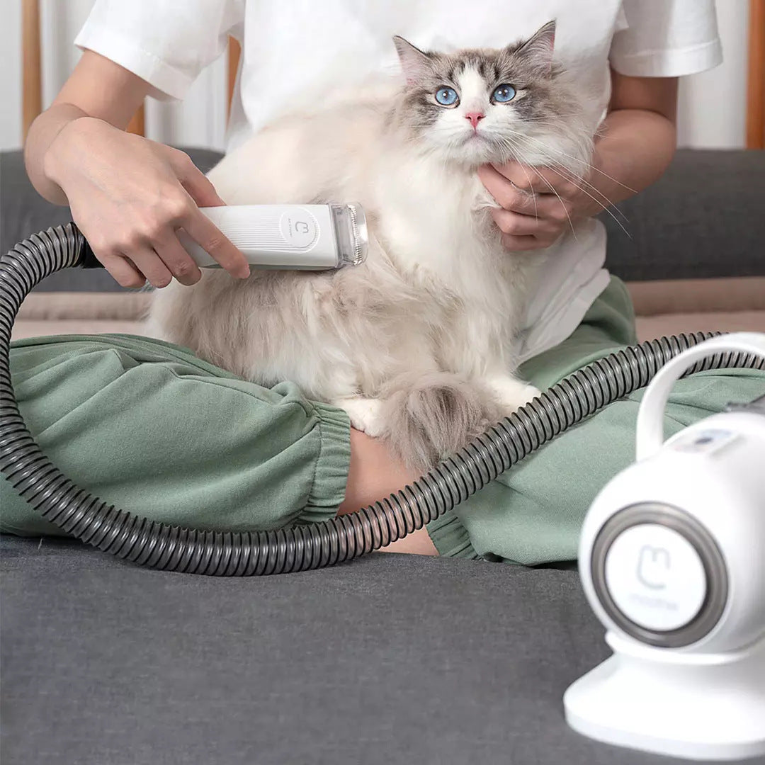 Toiletteur multifonctionnel pour animaux de compagnie