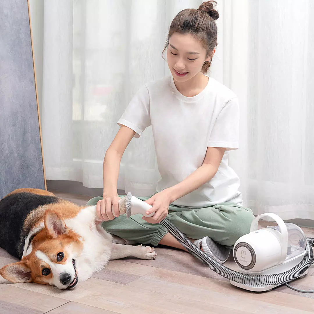 Toiletteur multifonctionnel pour animaux de compagnie